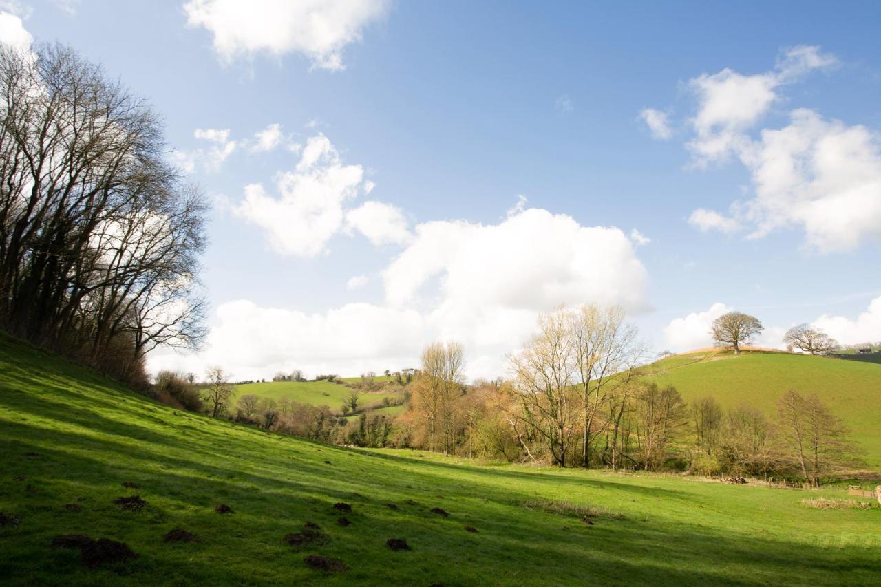 On The Brook Villa Bruton Luaran gambar